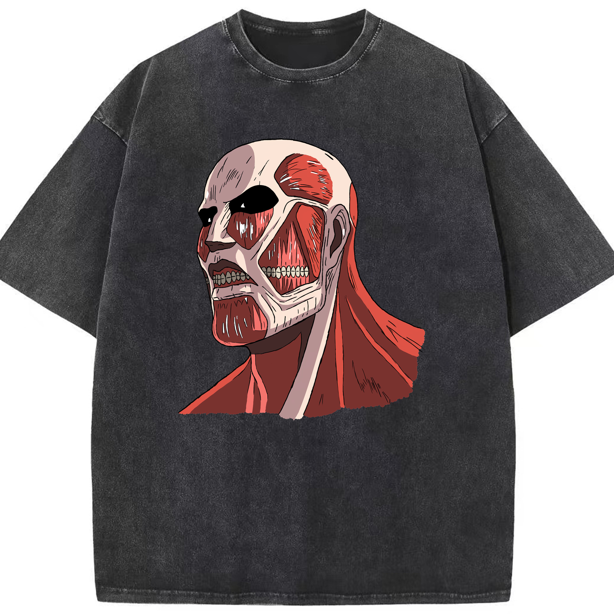 （画像用） 進撃の巨人 Attack on Titan 綿100% ヴィンテージ風 半袖Tシャツ（フロントプリント）