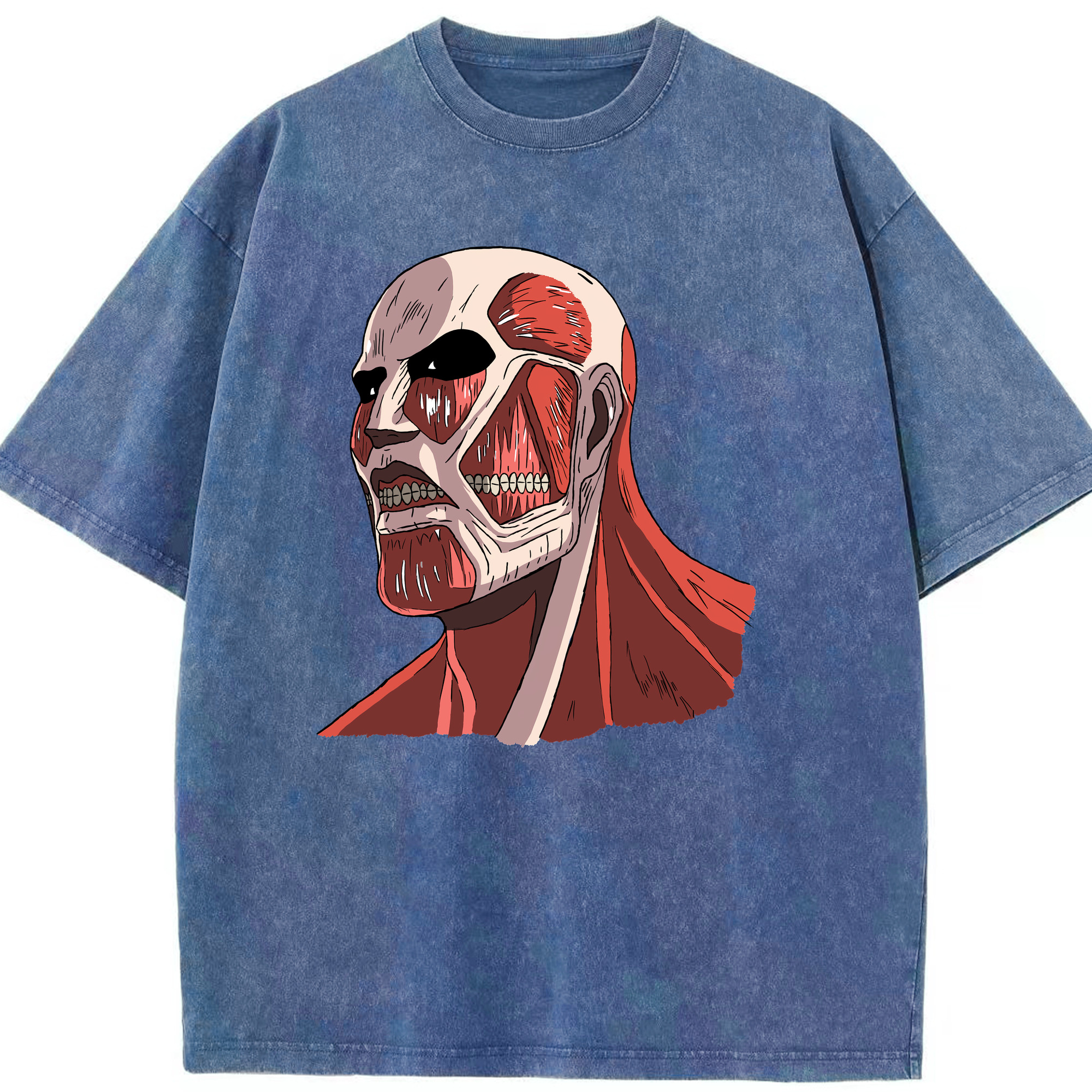 （画像用） 進撃の巨人 Attack on Titan 綿100% ヴィンテージ風 半袖Tシャツ（フロントプリント）