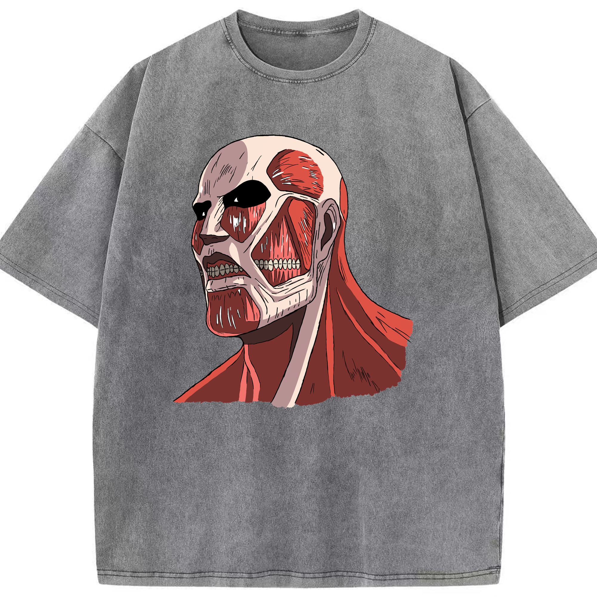 （画像用） 進撃の巨人 Attack on Titan 綿100% ヴィンテージ風 半袖Tシャツ（フロントプリント）