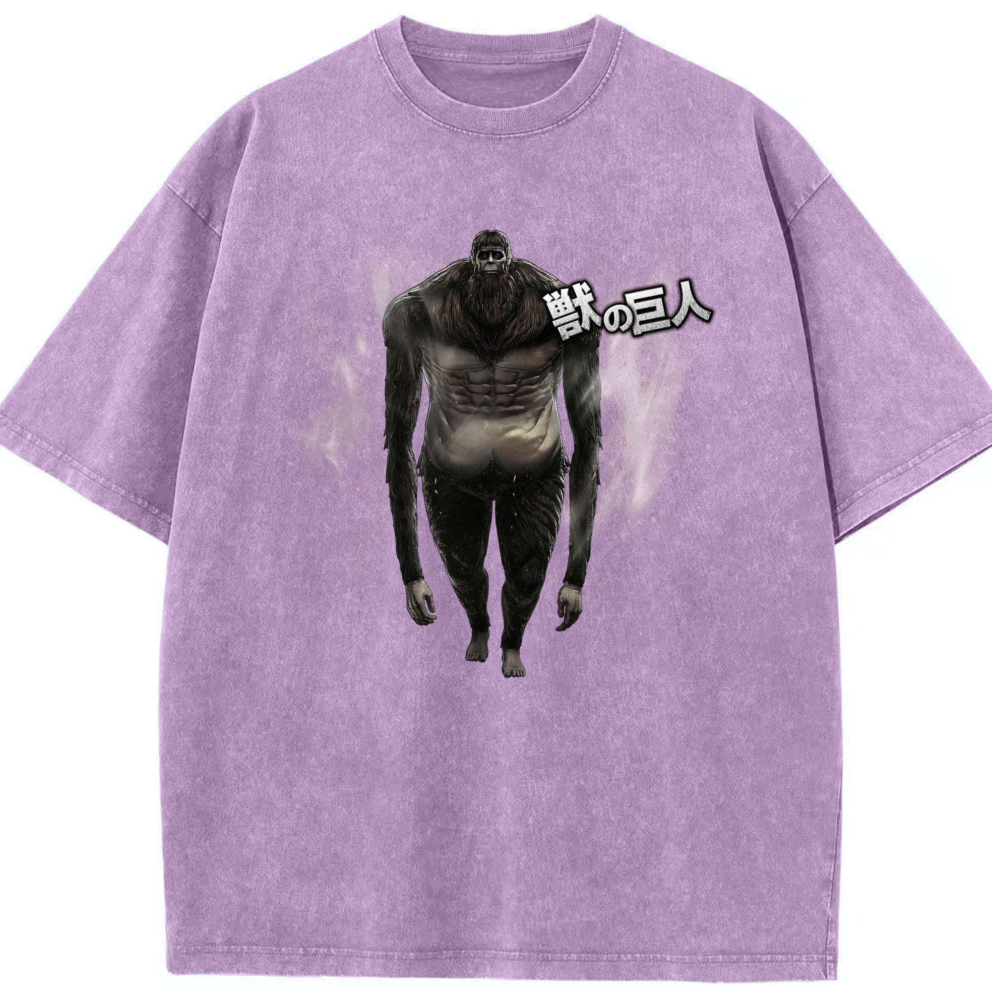 （画像用） 進撃の巨人 Attack on Titan 綿100% ヴィンテージ風 半袖Tシャツ（フロントプリント）