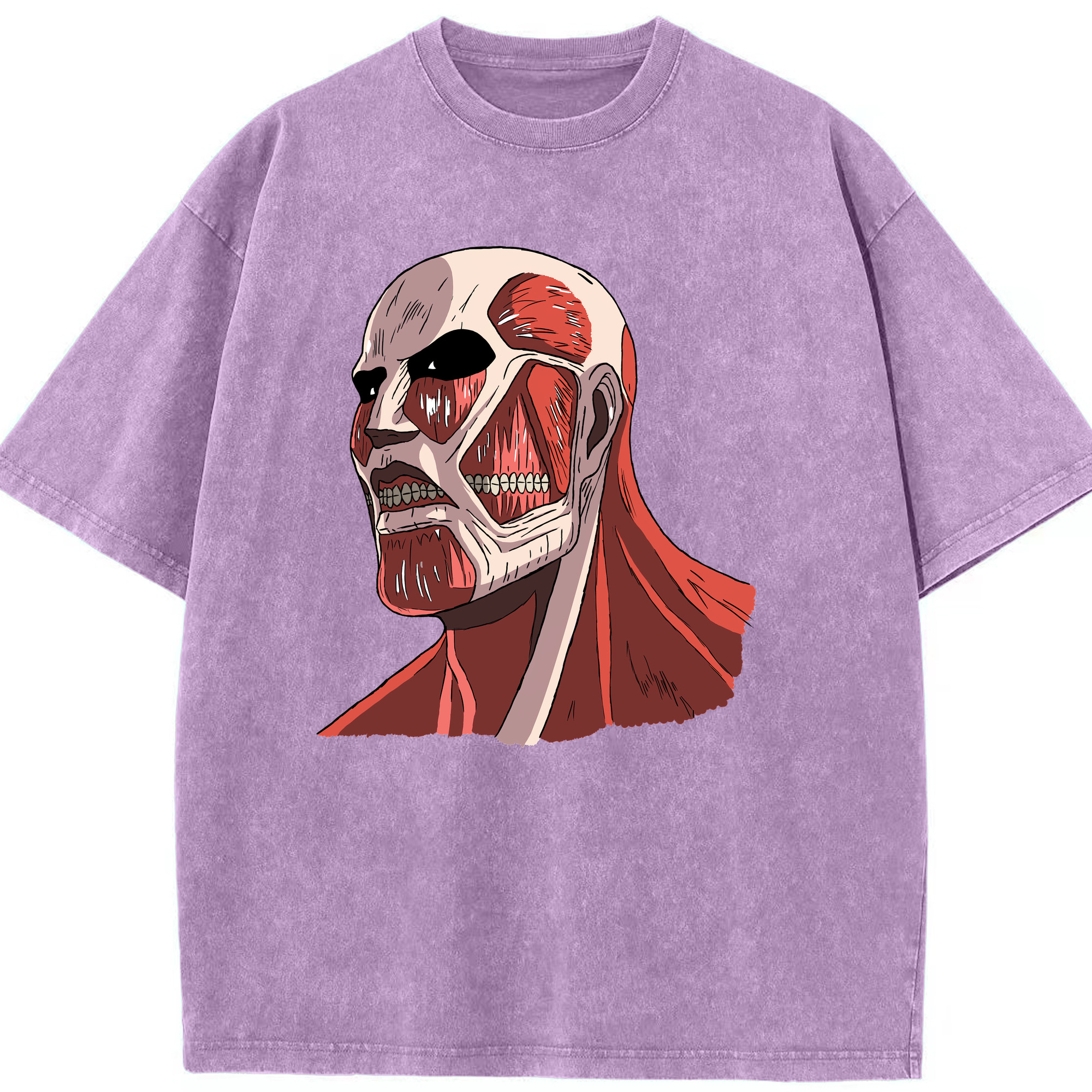 （画像用） 進撃の巨人 Attack on Titan 綿100% ヴィンテージ風 半袖Tシャツ（フロントプリント）
