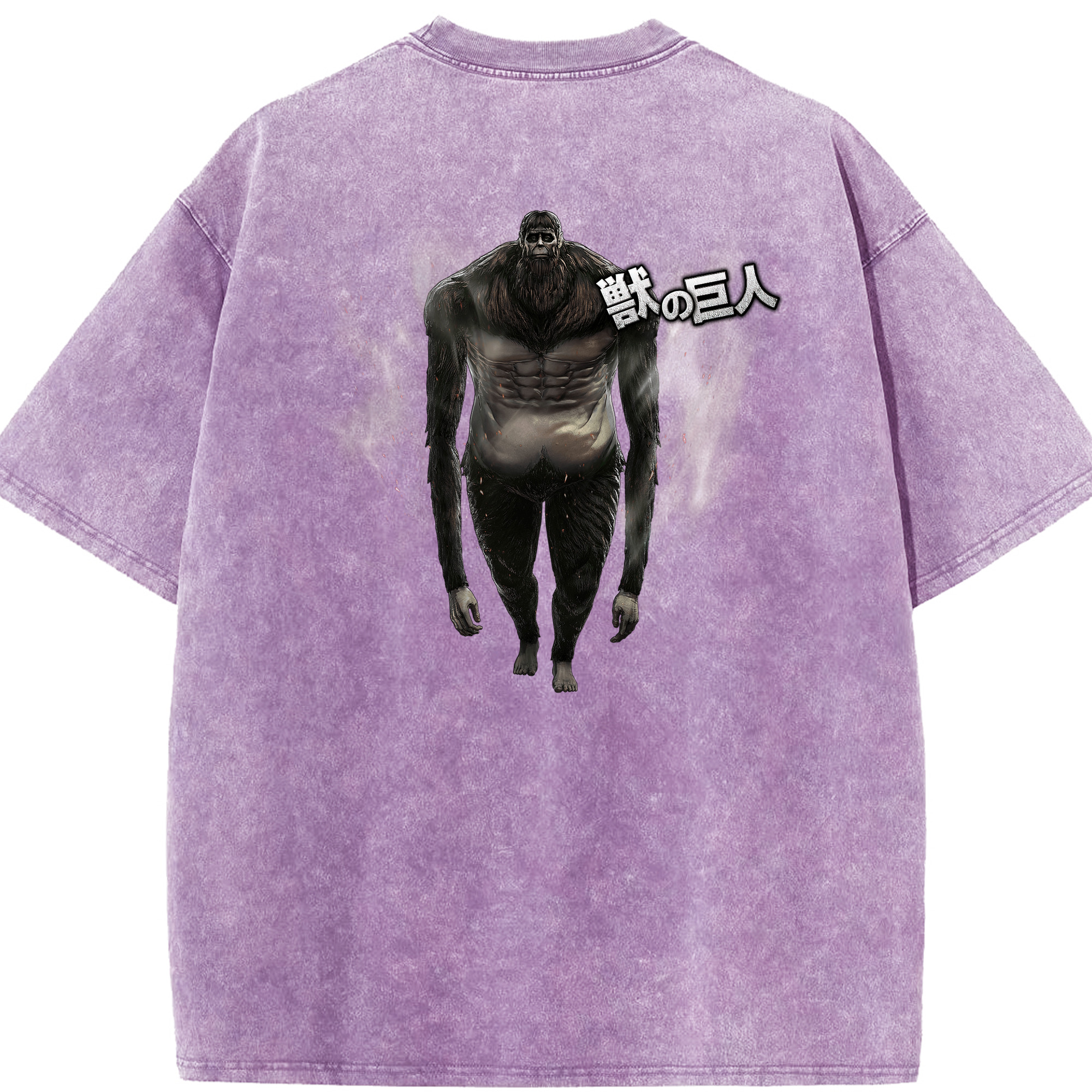 （画像用） 進撃の巨人 Attack on Titan 綿100% ヴィンテージ風 半袖Tシャツ（背面プリント）