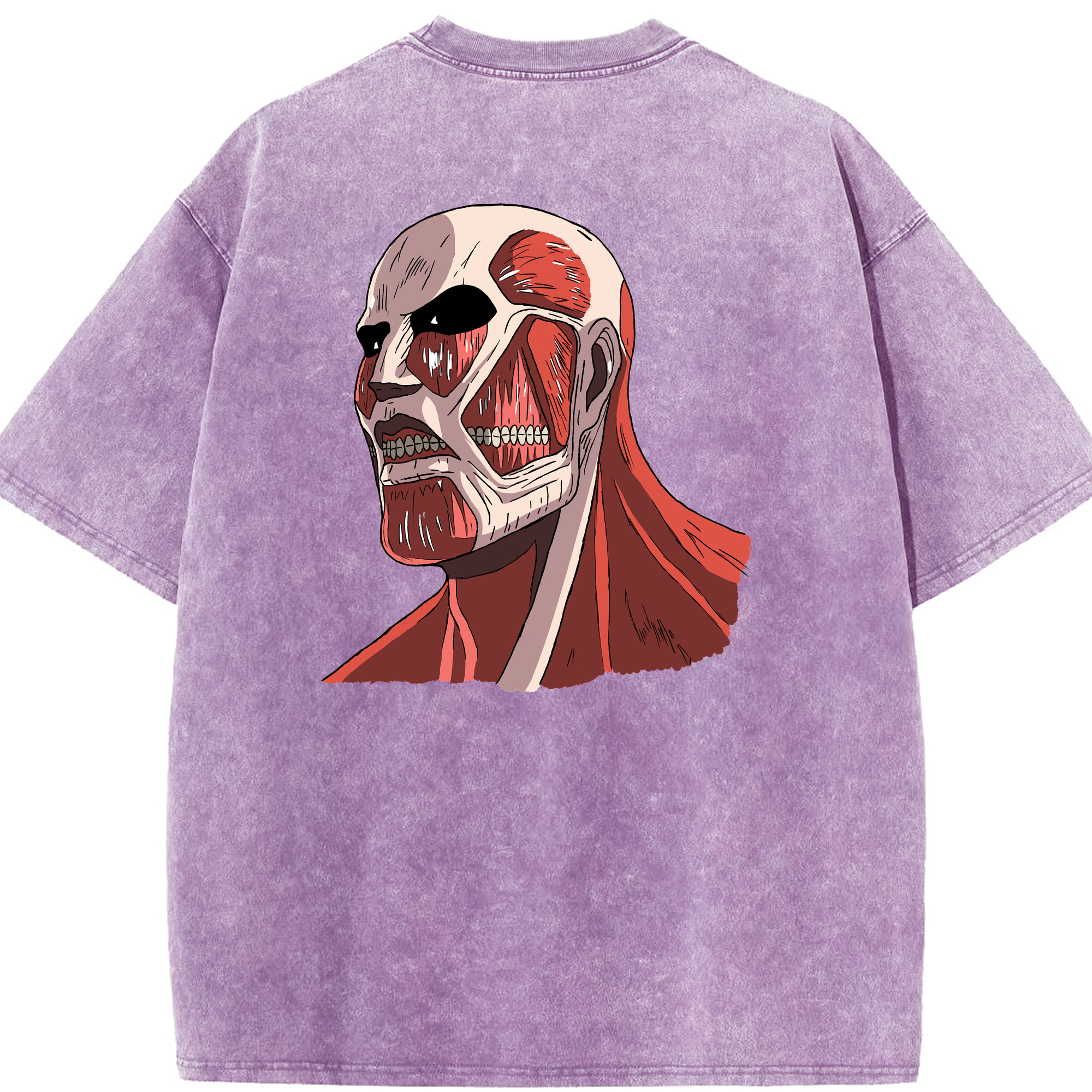 （画像用） 進撃の巨人 Attack on Titan 綿100% ヴィンテージ風 半袖Tシャツ（背面プリント）