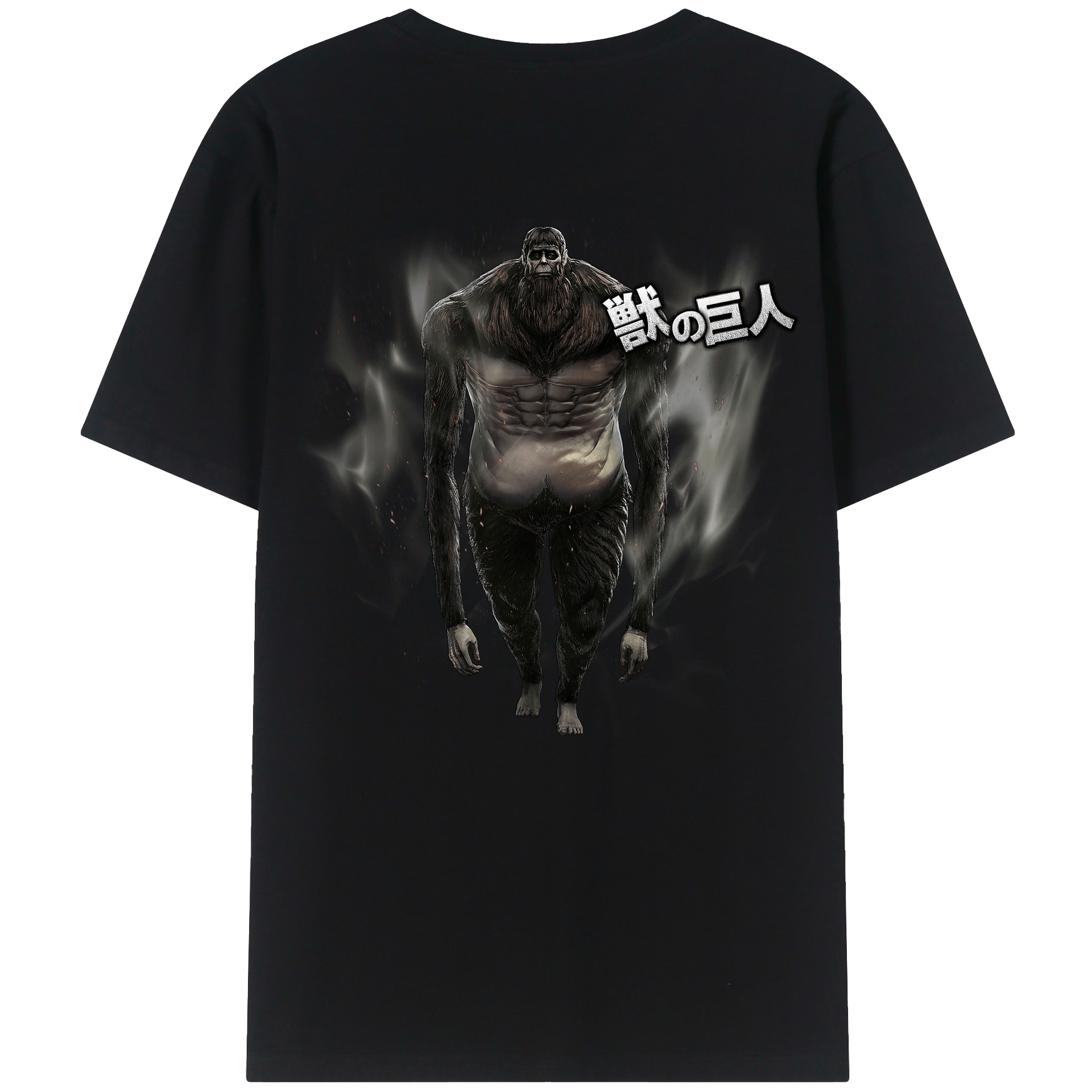 （画像用） 進撃の巨人 Attack on Titan 綿100％ メンズ半袖Tシャツ（バックプリント） 通気性