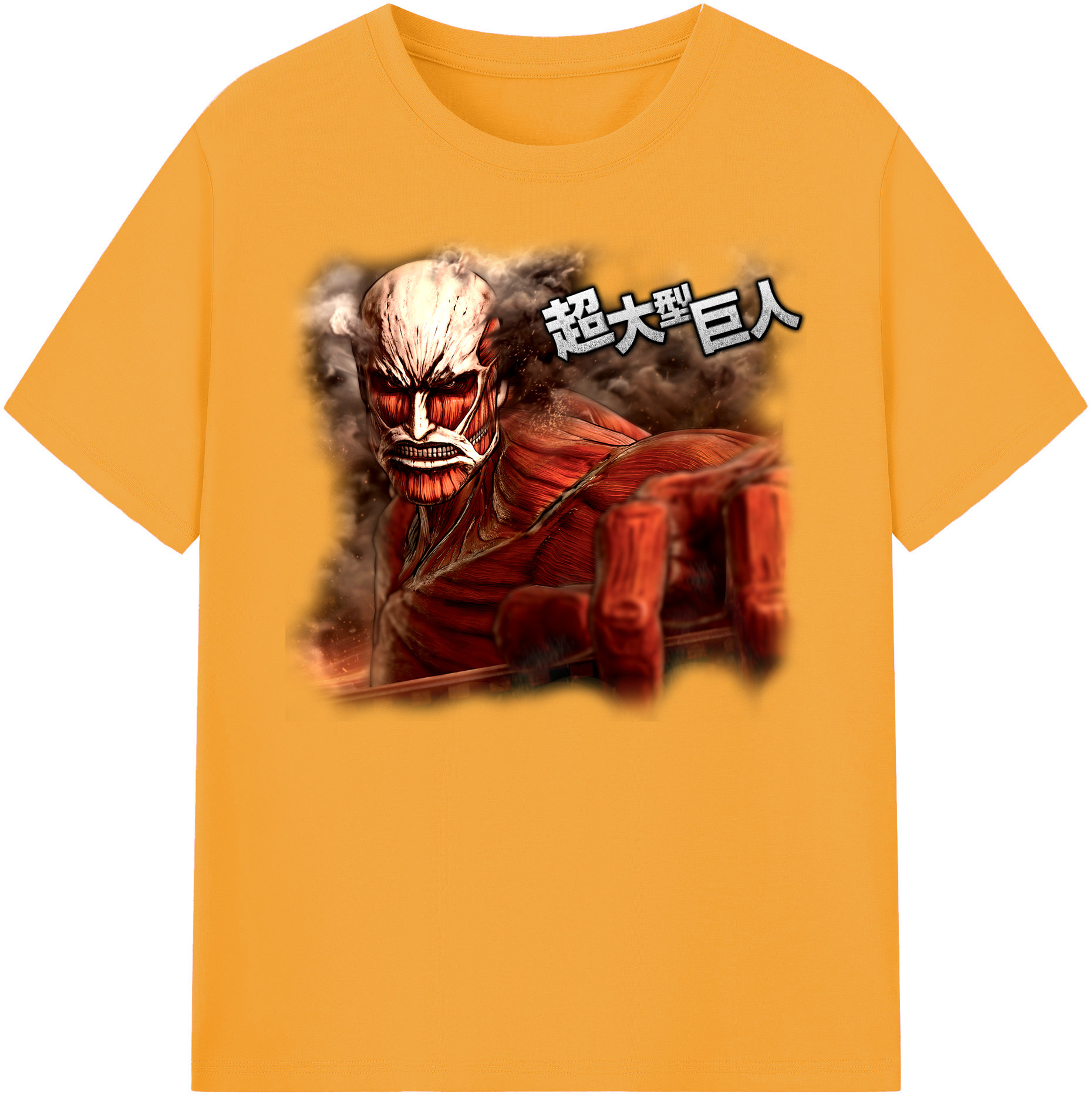 （画像用） 進撃の巨人 Attack on Titan 綿100％ メンズ半袖Tシャツ｜肌触りやわらか＆通気性