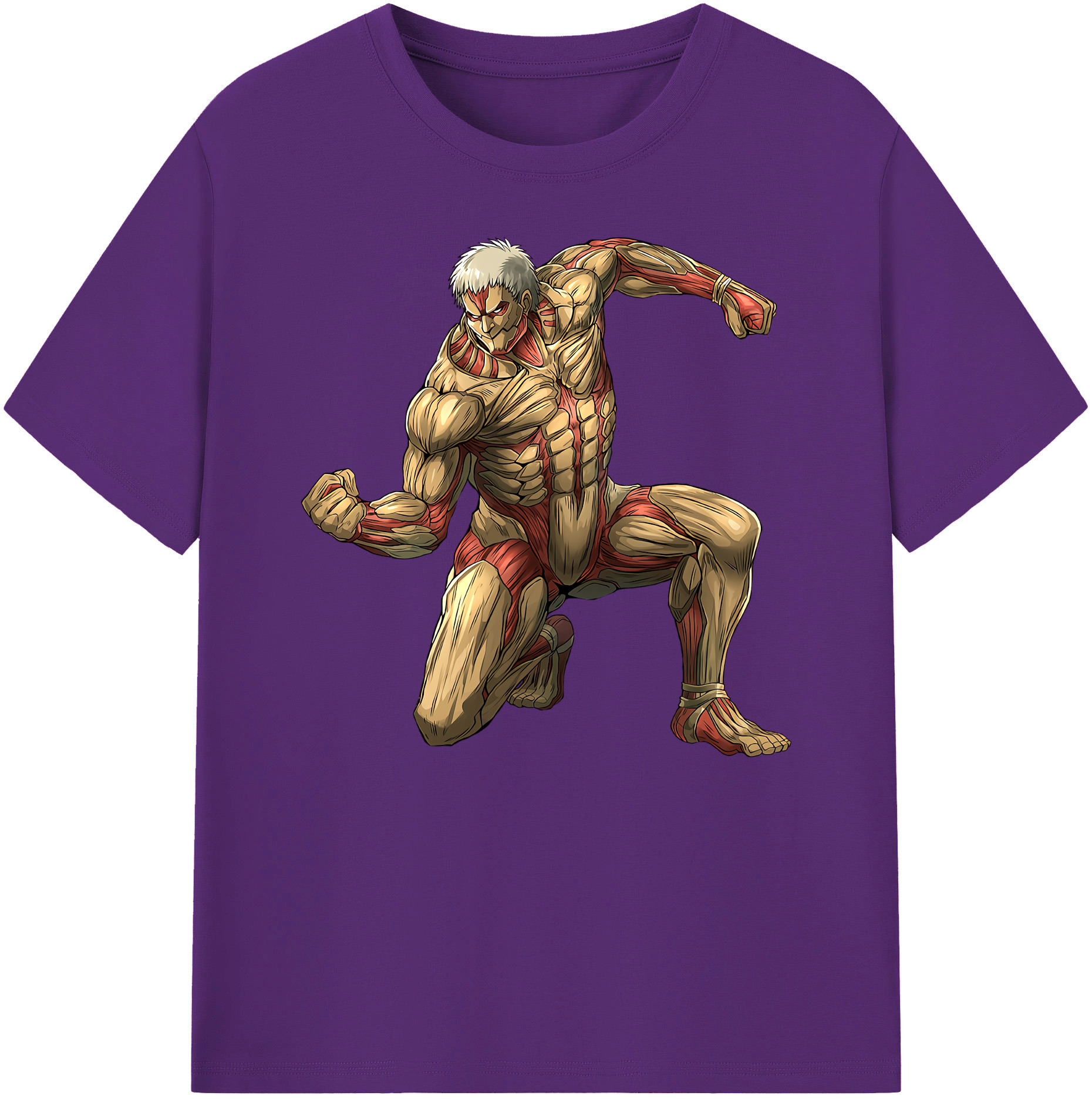 （画像用） 進撃の巨人 Attack on Titan 綿100％ メンズ半袖Tシャツ｜肌触りやわらか＆通気性