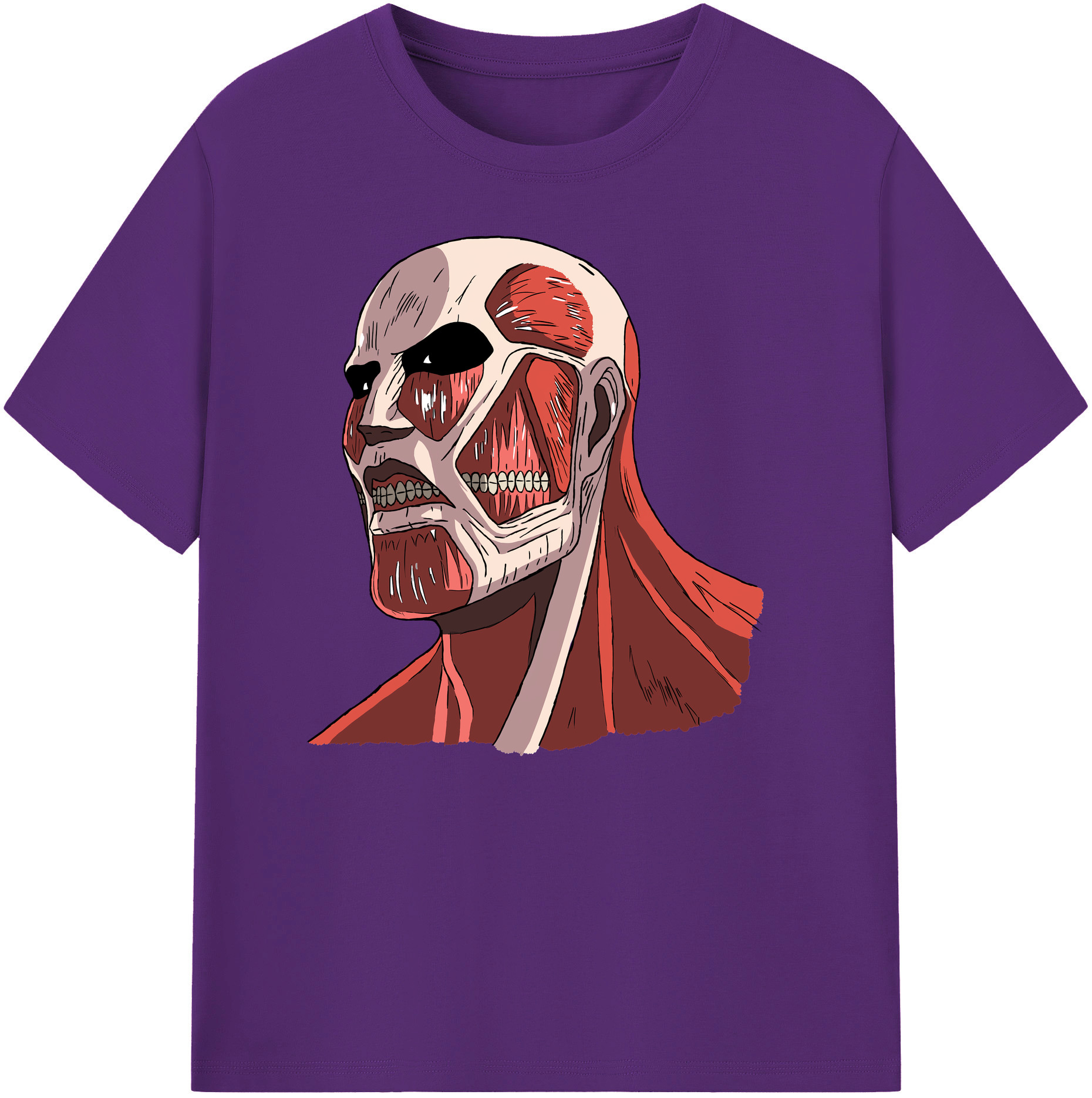 （画像用） 進撃の巨人 Attack on Titan 綿100％ メンズ半袖Tシャツ｜肌触りやわらか＆通気性