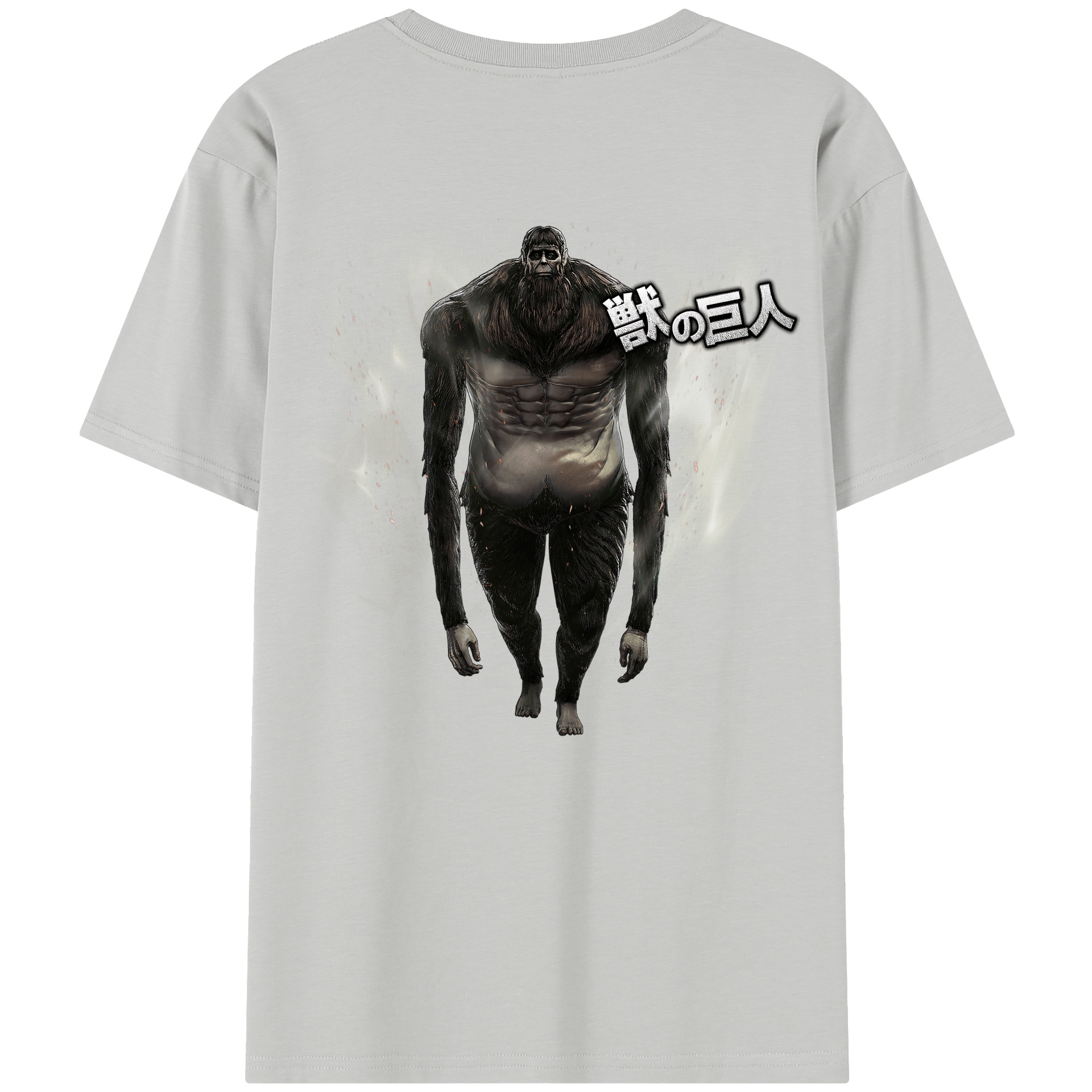 （画像用） 進撃の巨人 Attack on Titan レディース半袖Tシャツ(バックプリント)