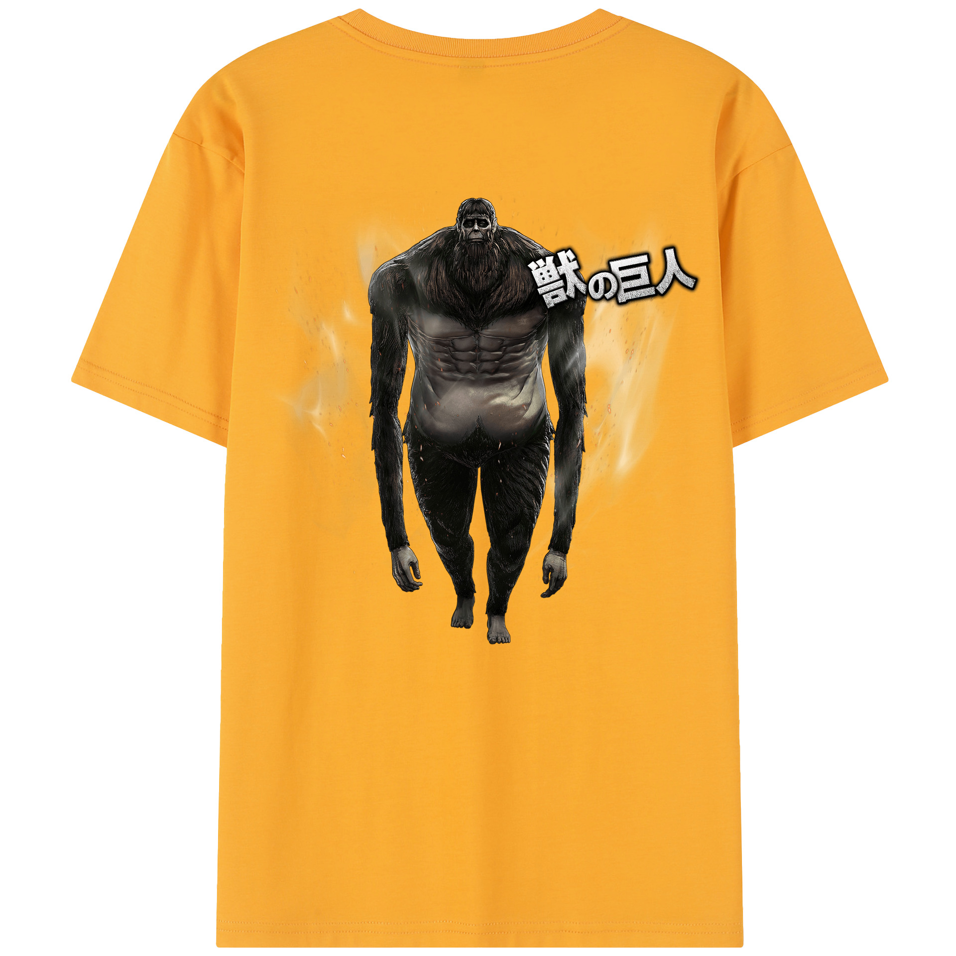 （画像用） 進撃の巨人 Attack on Titan レディース半袖Tシャツ(バックプリント)