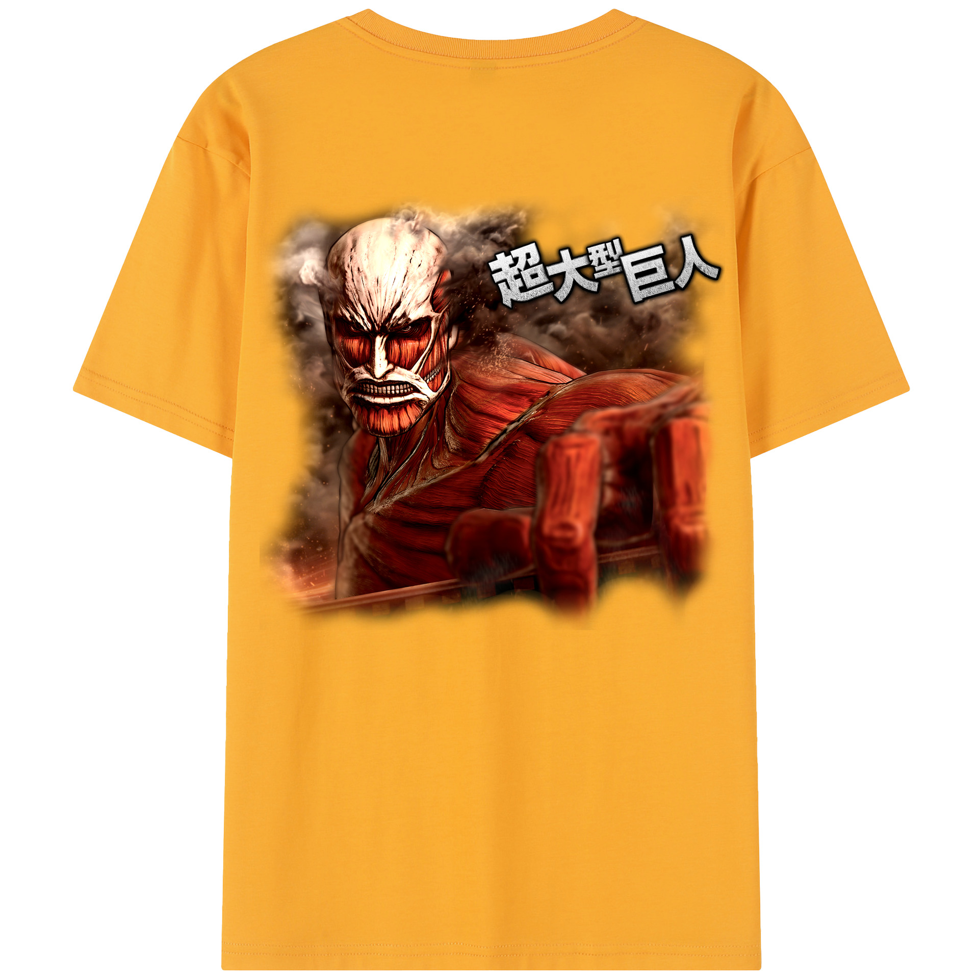 （画像用） 進撃の巨人 Attack on Titan レディース半袖Tシャツ(バックプリント)