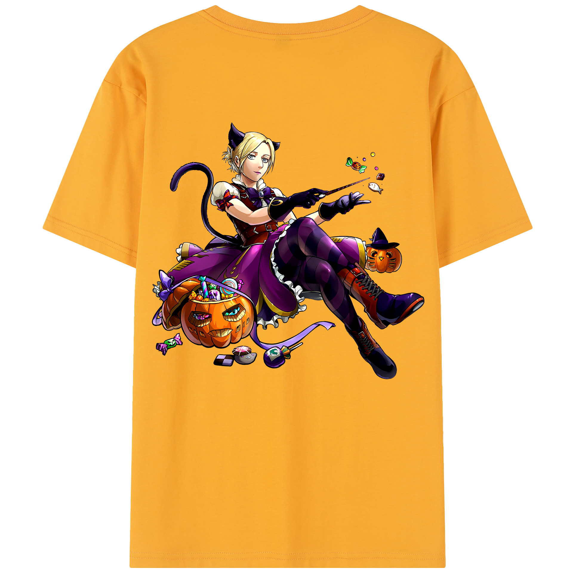 （画像用） 進撃の巨人 アニ・レオンハート Attack on Titan Annie Leonhart レディース半袖Tシャツ(バックプリント)