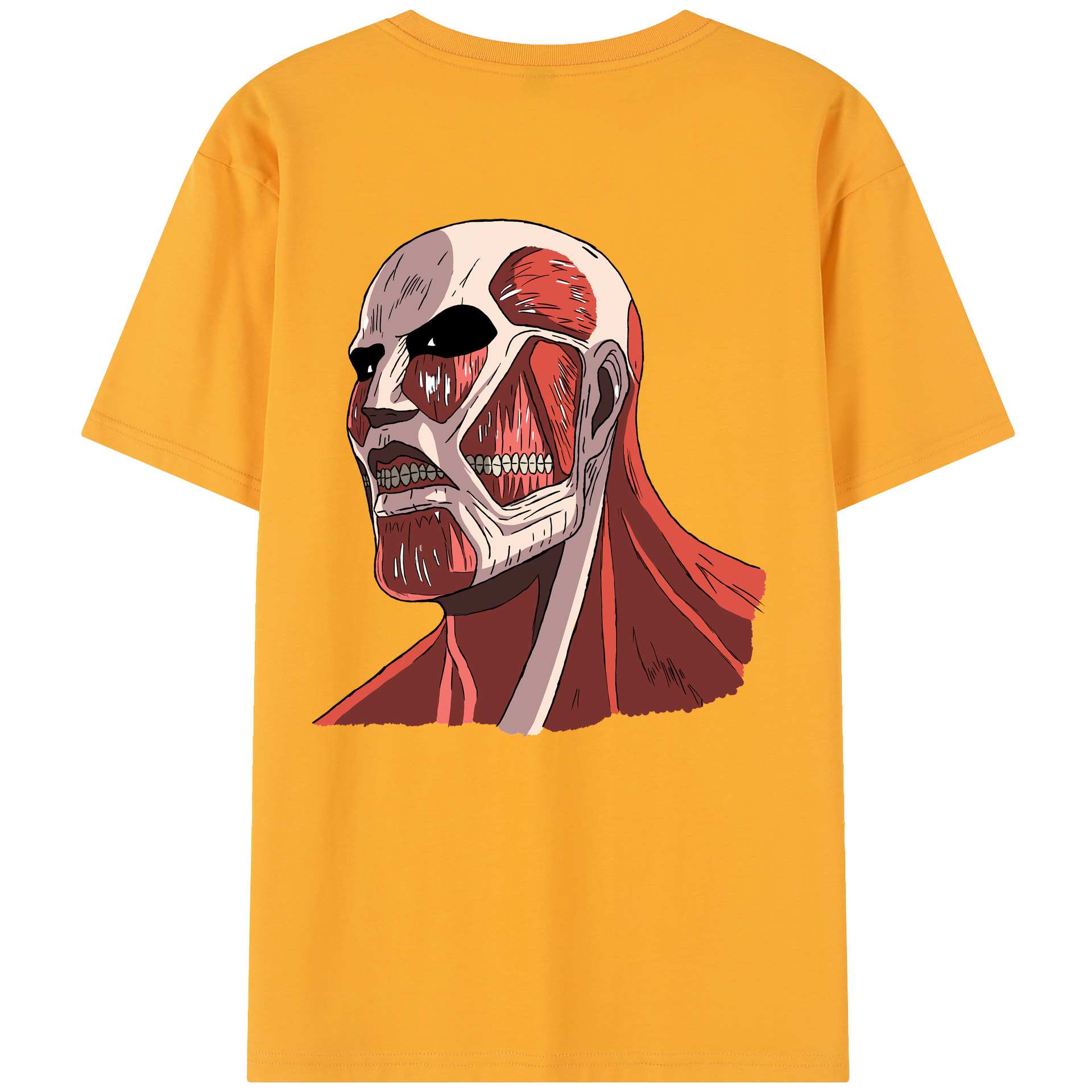 （画像用） 進撃の巨人 Attack on Titan レディース半袖Tシャツ(バックプリント)