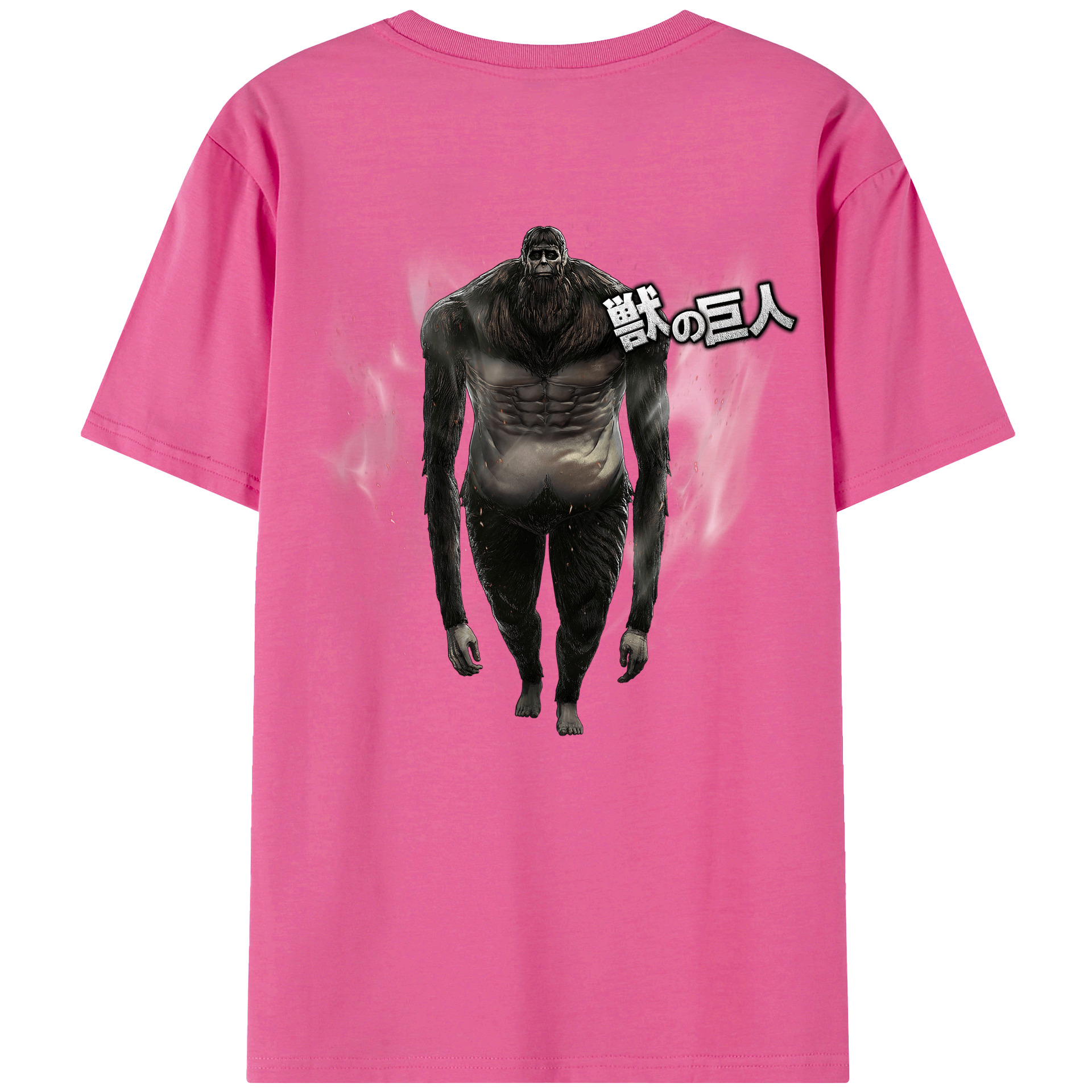 （画像用） 進撃の巨人 Attack on Titan レディース半袖Tシャツ(バックプリント)
