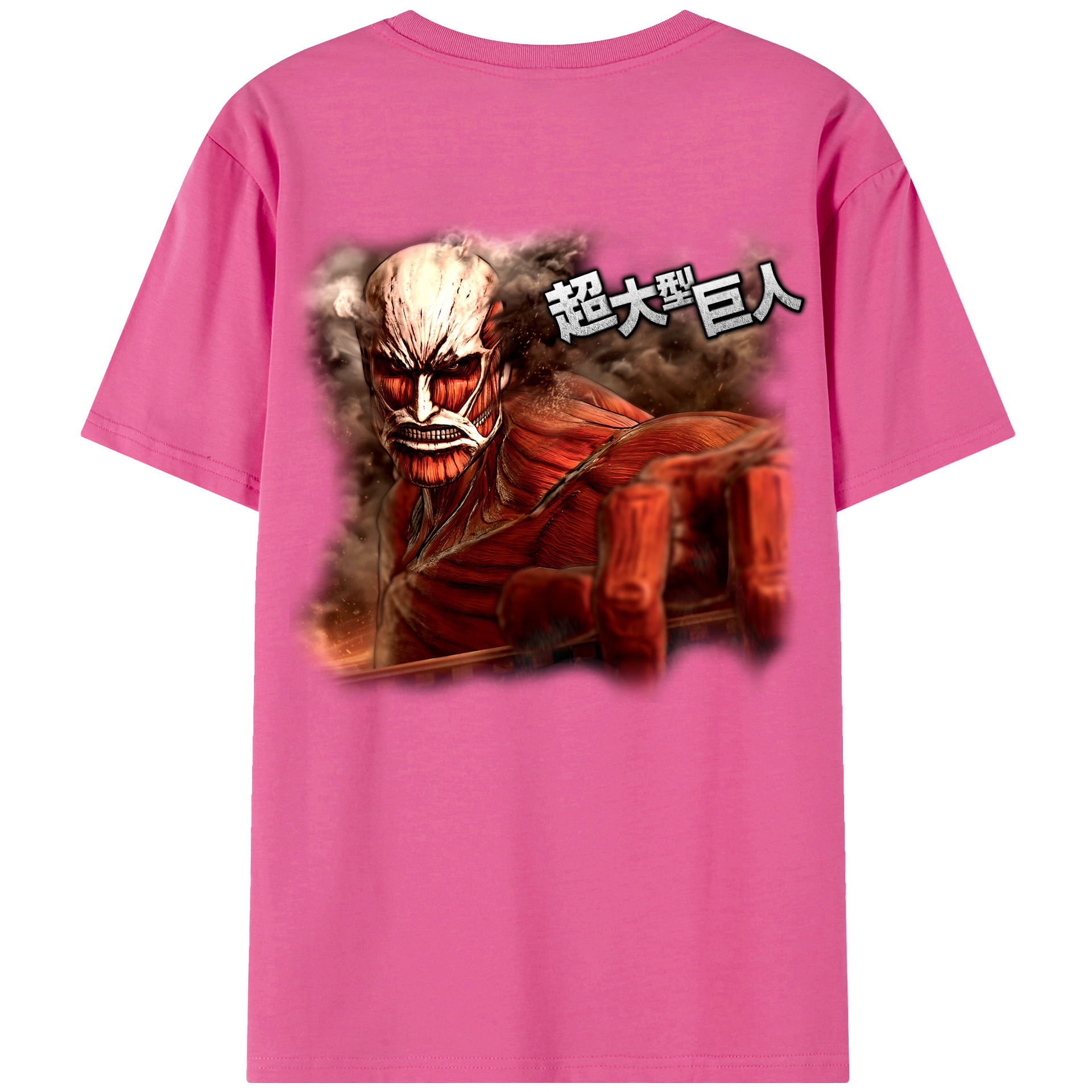 （画像用） 進撃の巨人 Attack on Titan レディース半袖Tシャツ(バックプリント)