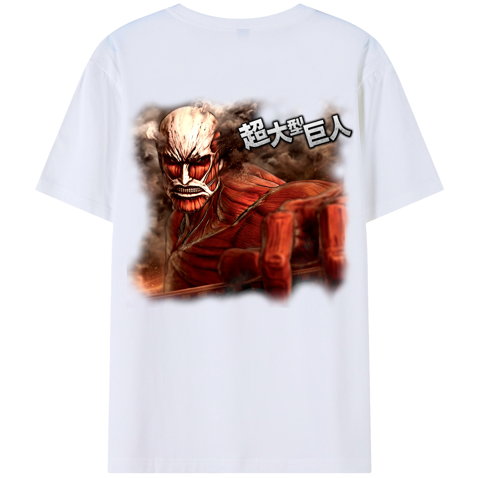 （画像用） 進撃の巨人 Attack on Titan レディース半袖Tシャツ(バックプリント)