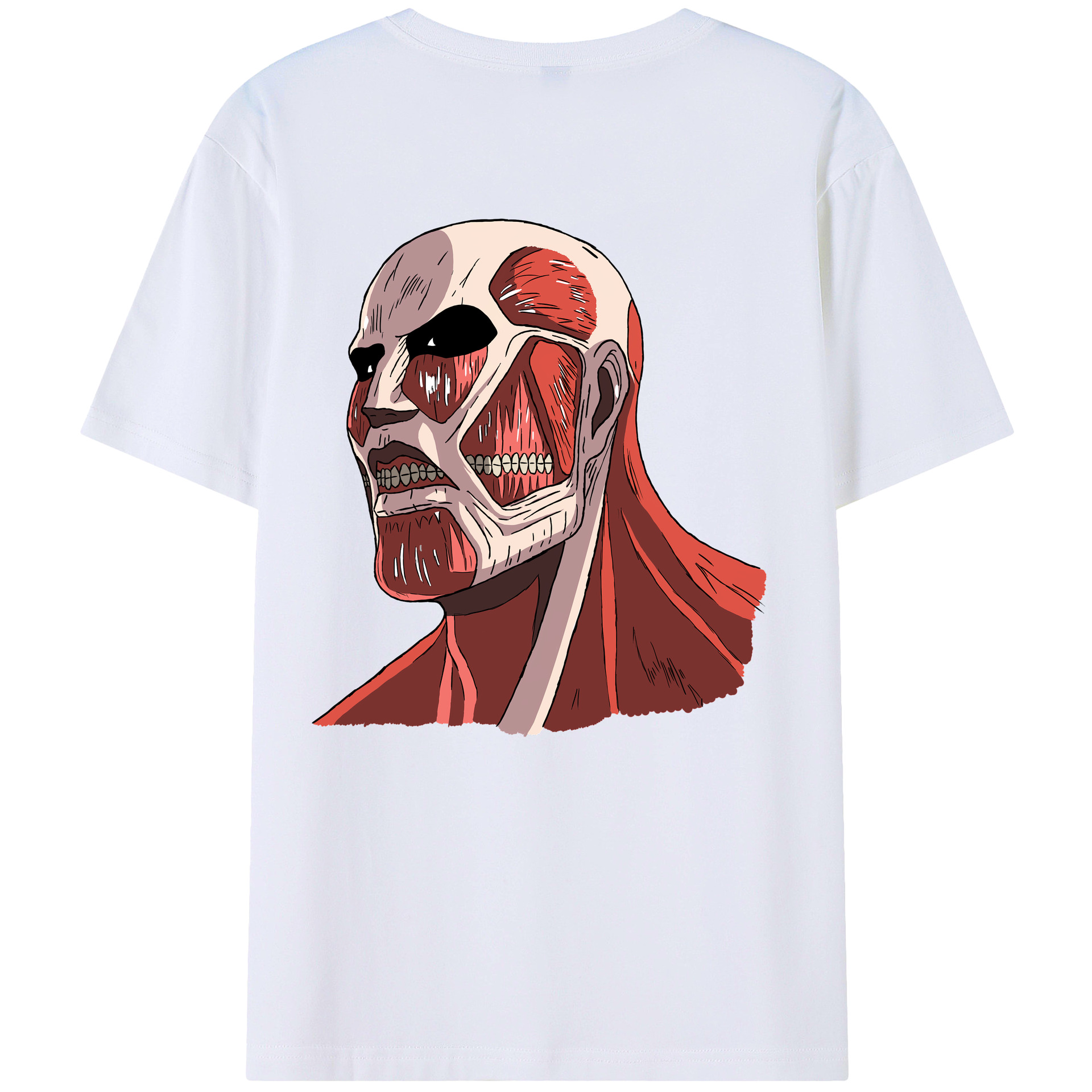 （画像用） 進撃の巨人 Attack on Titan レディース半袖Tシャツ(バックプリント)