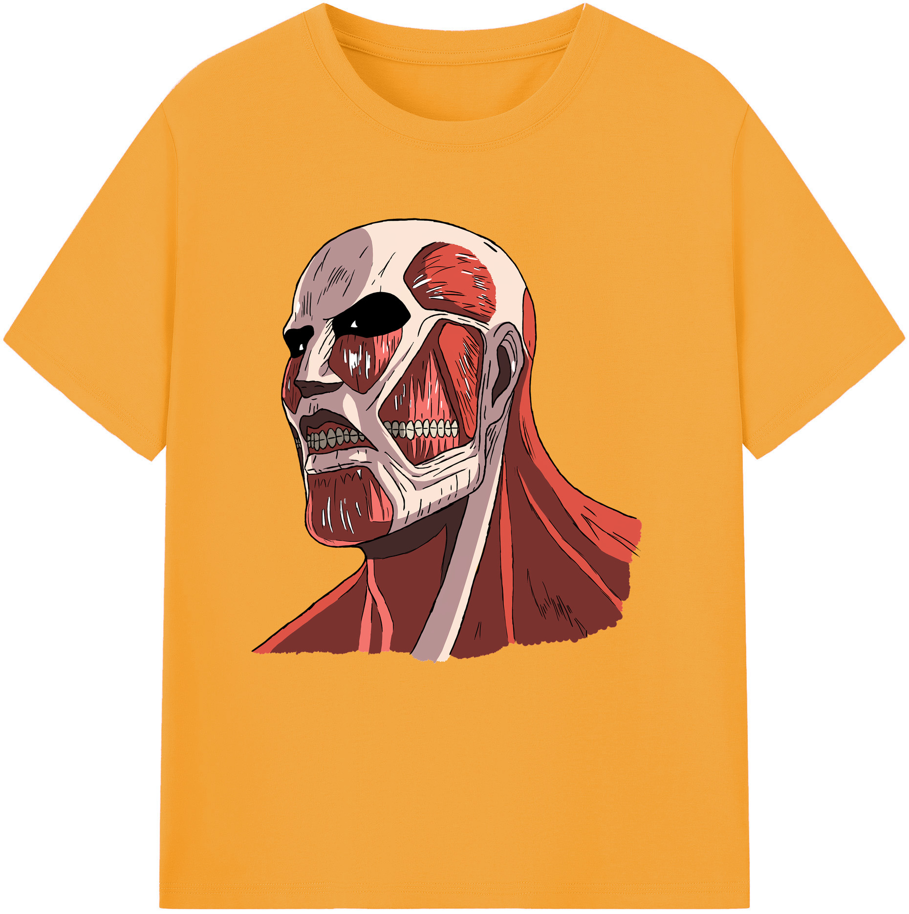 （画像用） 進撃の巨人 Attack on Titan 綿100％半袖Tシャツ（フロントプリント）