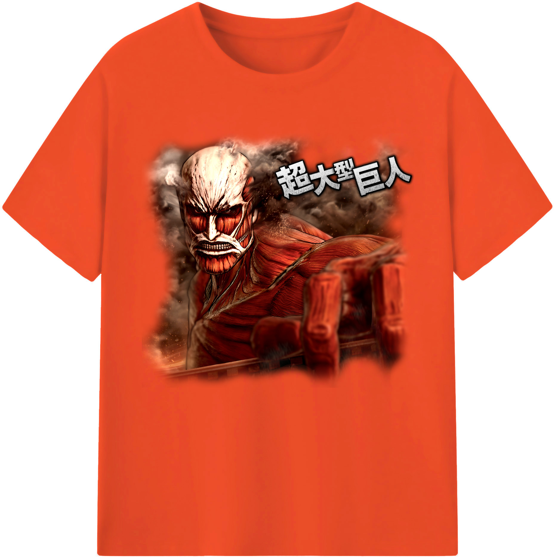 （画像用） 進撃の巨人 Attack on Titan 綿100％半袖Tシャツ（フロントプリント）