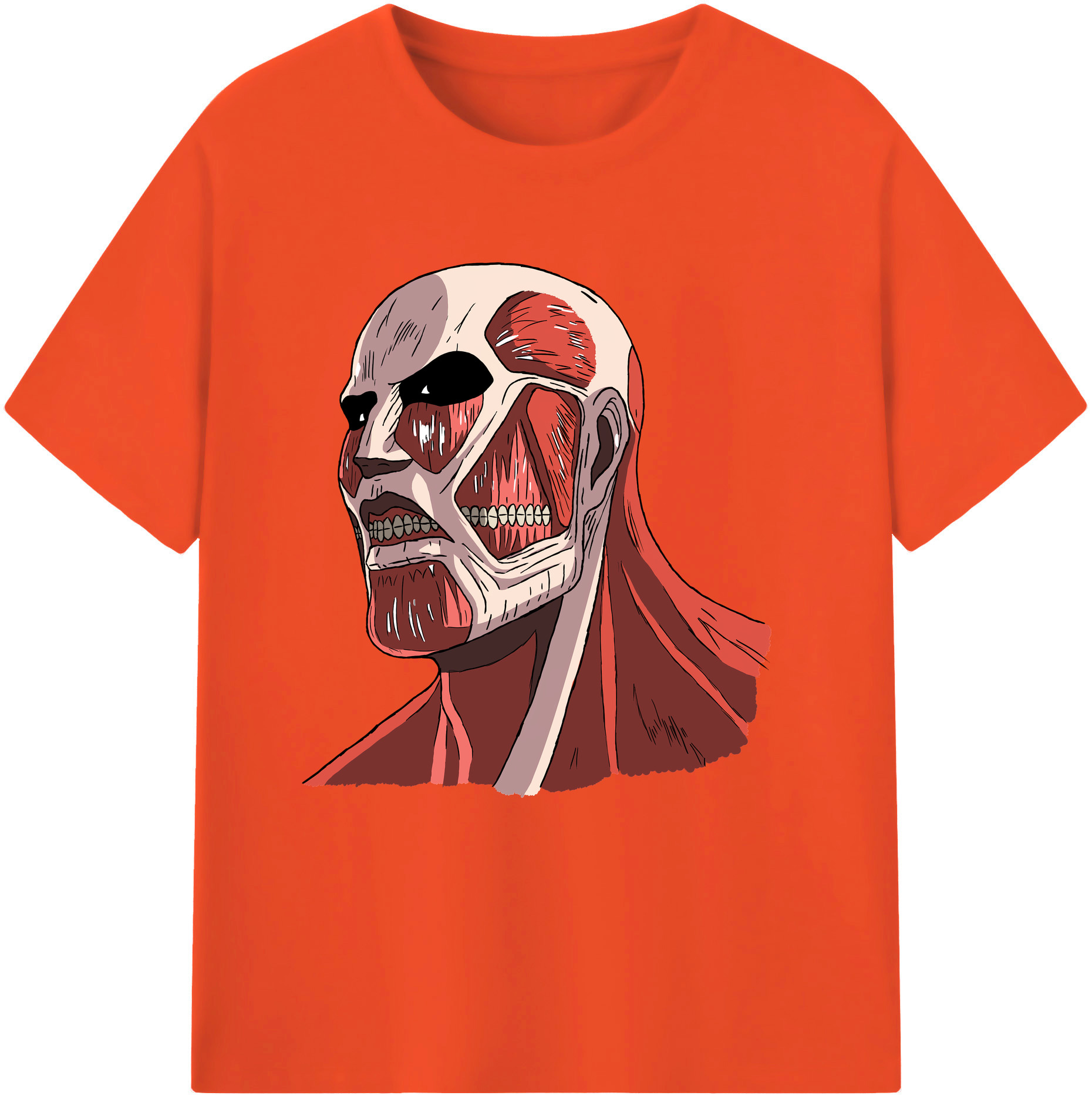 （画像用） 進撃の巨人 Attack on Titan 綿100％半袖Tシャツ（フロントプリント）