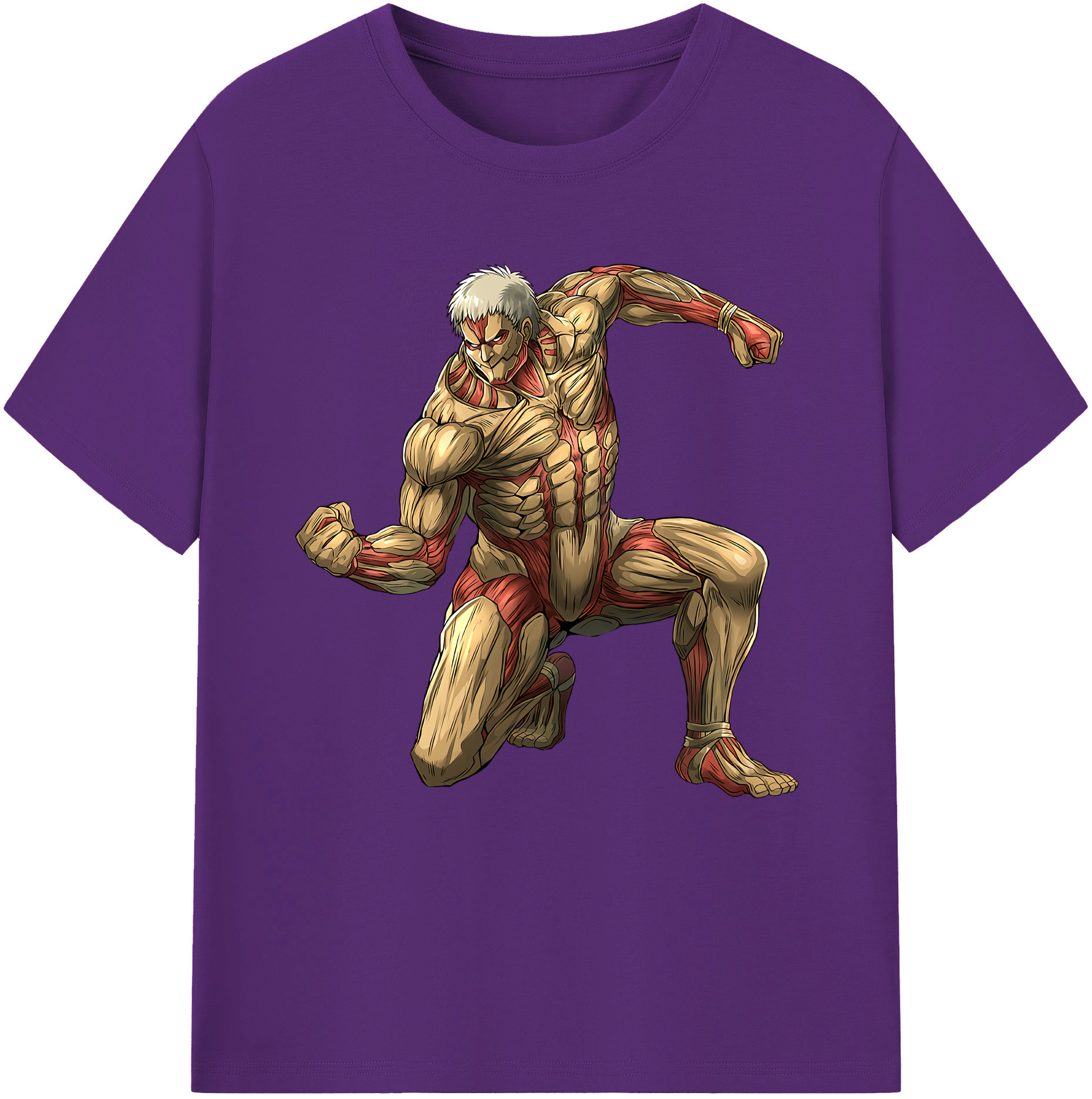 （画像用） 進撃の巨人 Attack on Titan 綿100％半袖Tシャツ（フロントプリント）