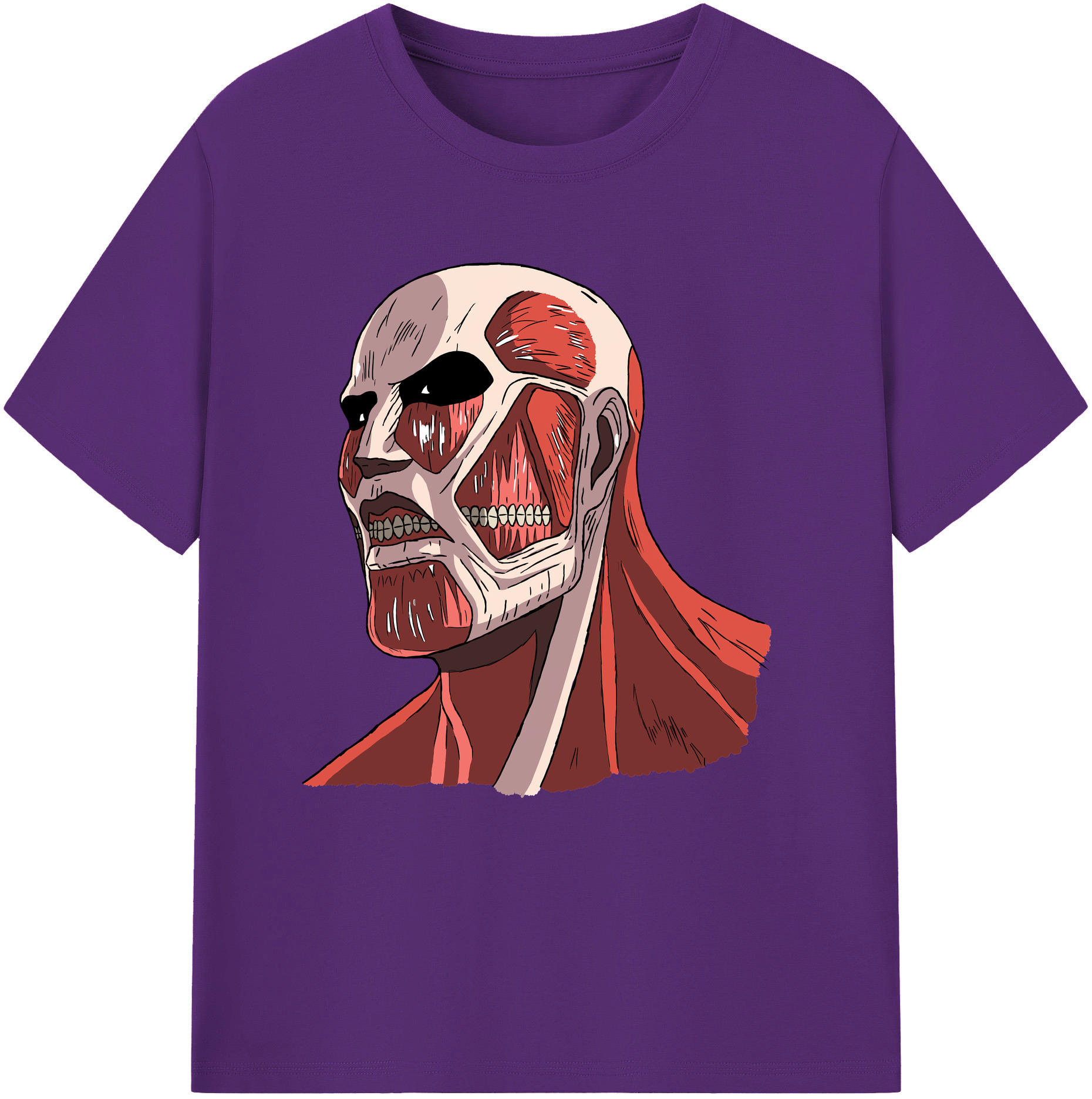 （画像用） 進撃の巨人 Attack on Titan 綿100％半袖Tシャツ（フロントプリント）