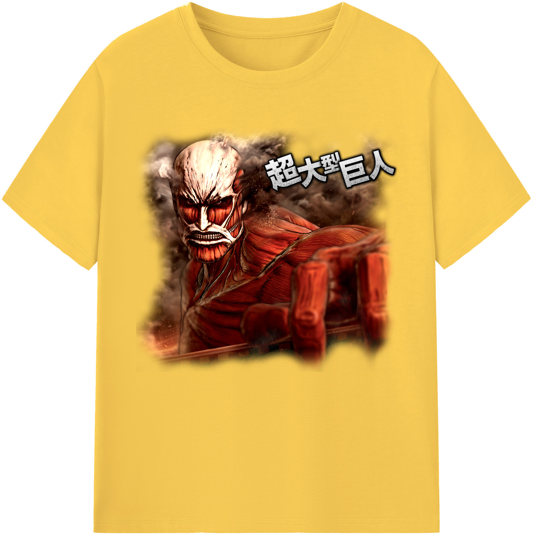 （画像用） 進撃の巨人 Attack on Titan 綿100％半袖Tシャツ（フロントプリント）