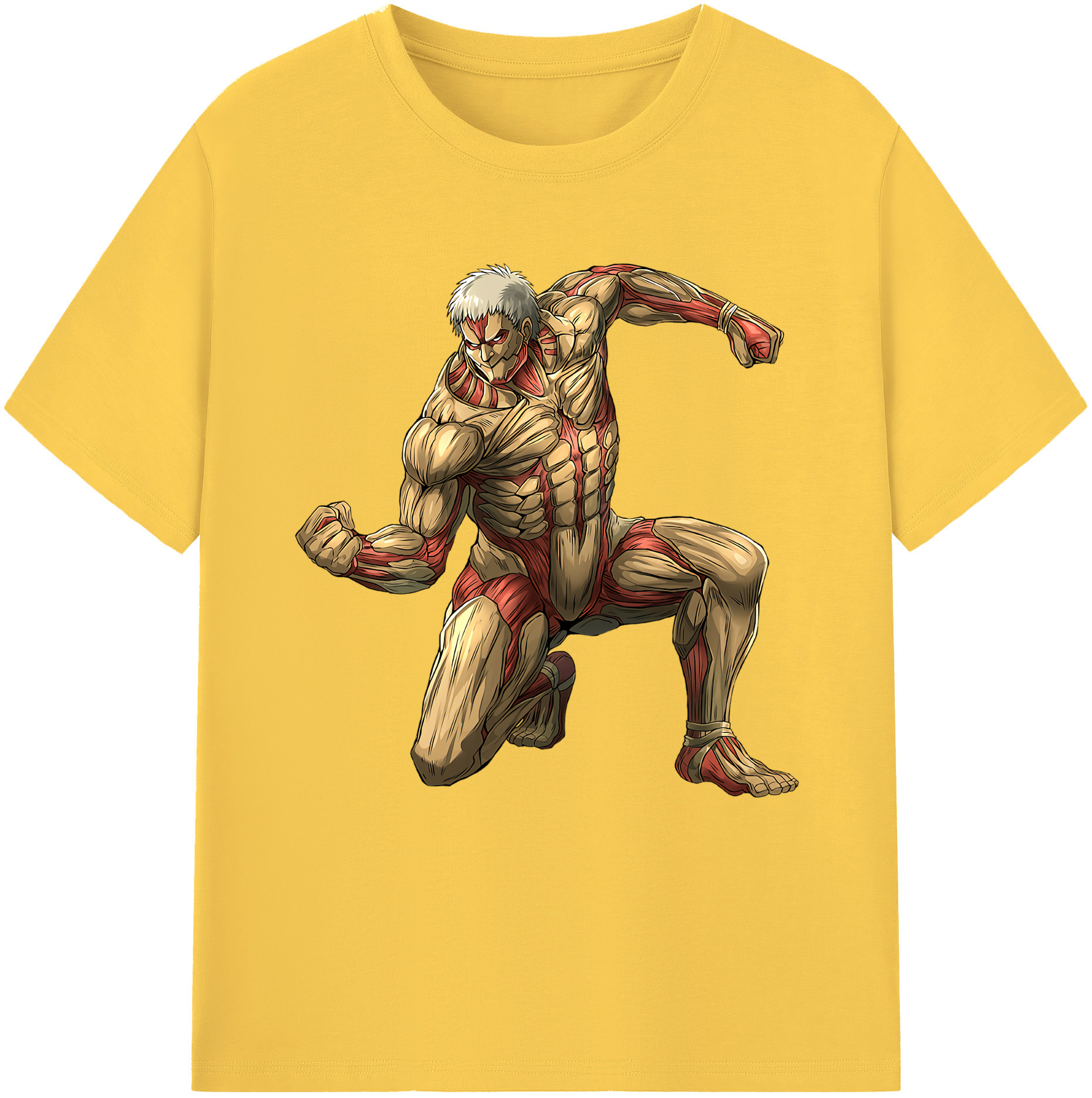 （画像用） 進撃の巨人 Attack on Titan 綿100％半袖Tシャツ（フロントプリント）
